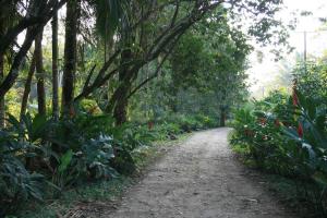 Picture15.jpg